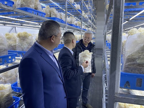 趙衛深入商洛開展企業管理咨詢調研，助力區域經濟發展